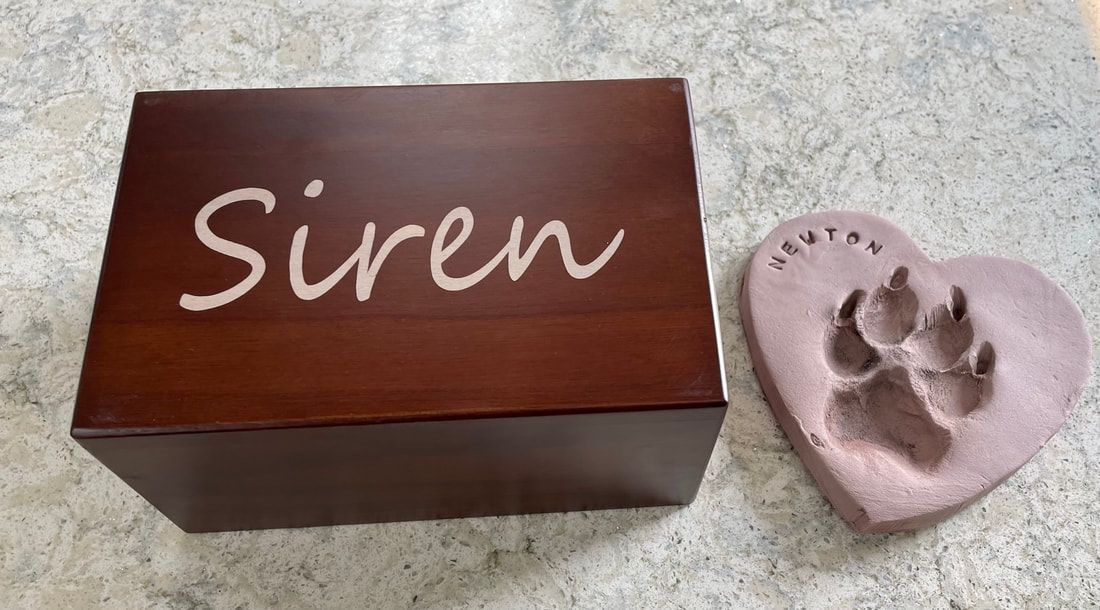 Cherry wood engraved urn and clay pawprint with pet's name in the shape of a heart